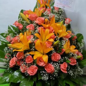 Arreglos Triangulares